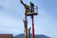 IMG-20230224-WA0014